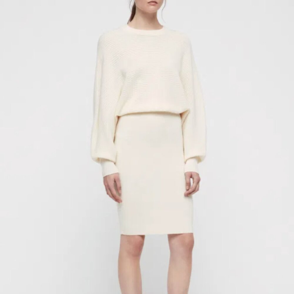 NWT Allsaints Gene Dress